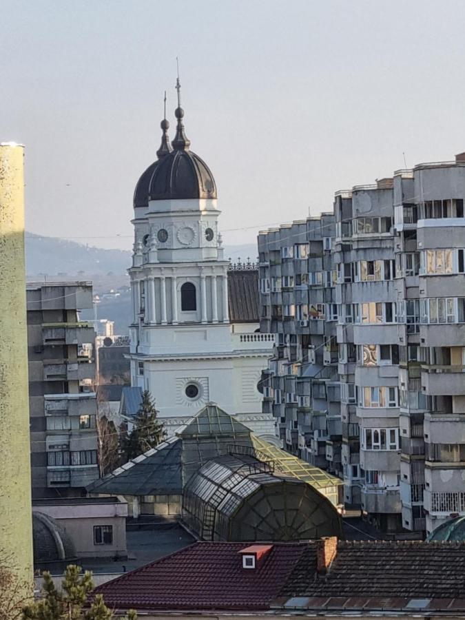 City Center Apartments - Piata Unirii Iasi Exteriér fotografie