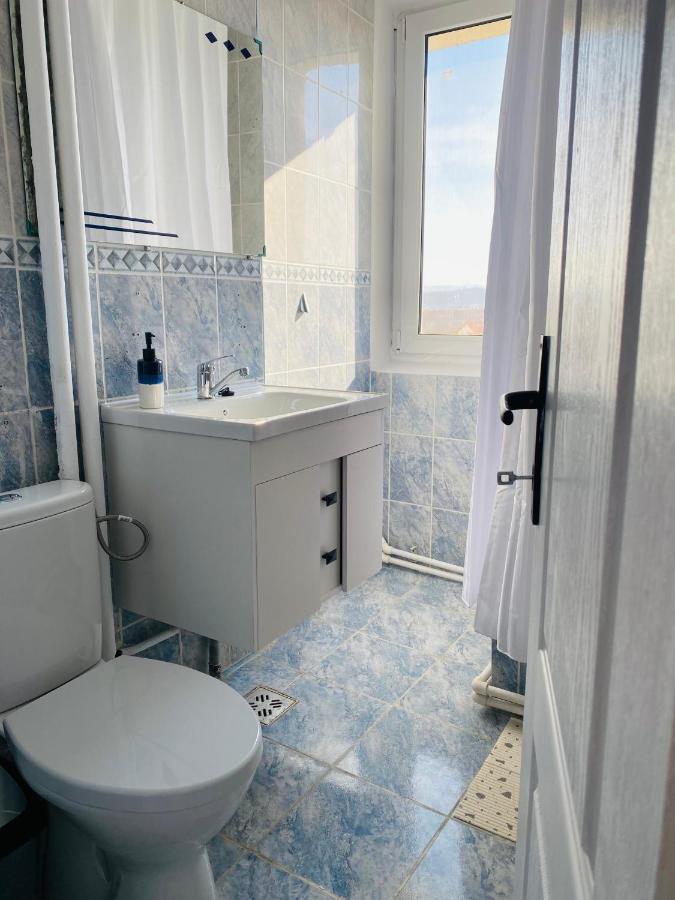 City Center Apartments - Piata Unirii Iasi Exteriér fotografie